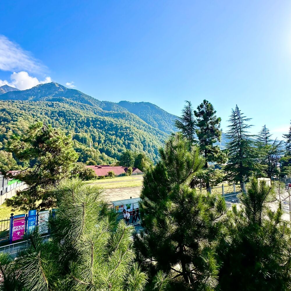 kupit-apartamenty-sochi-ak-les-forest