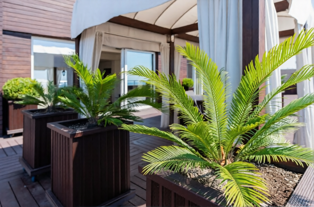 Isklyuchenie-penthaus-v-zhk-volna-sochi-u-morya