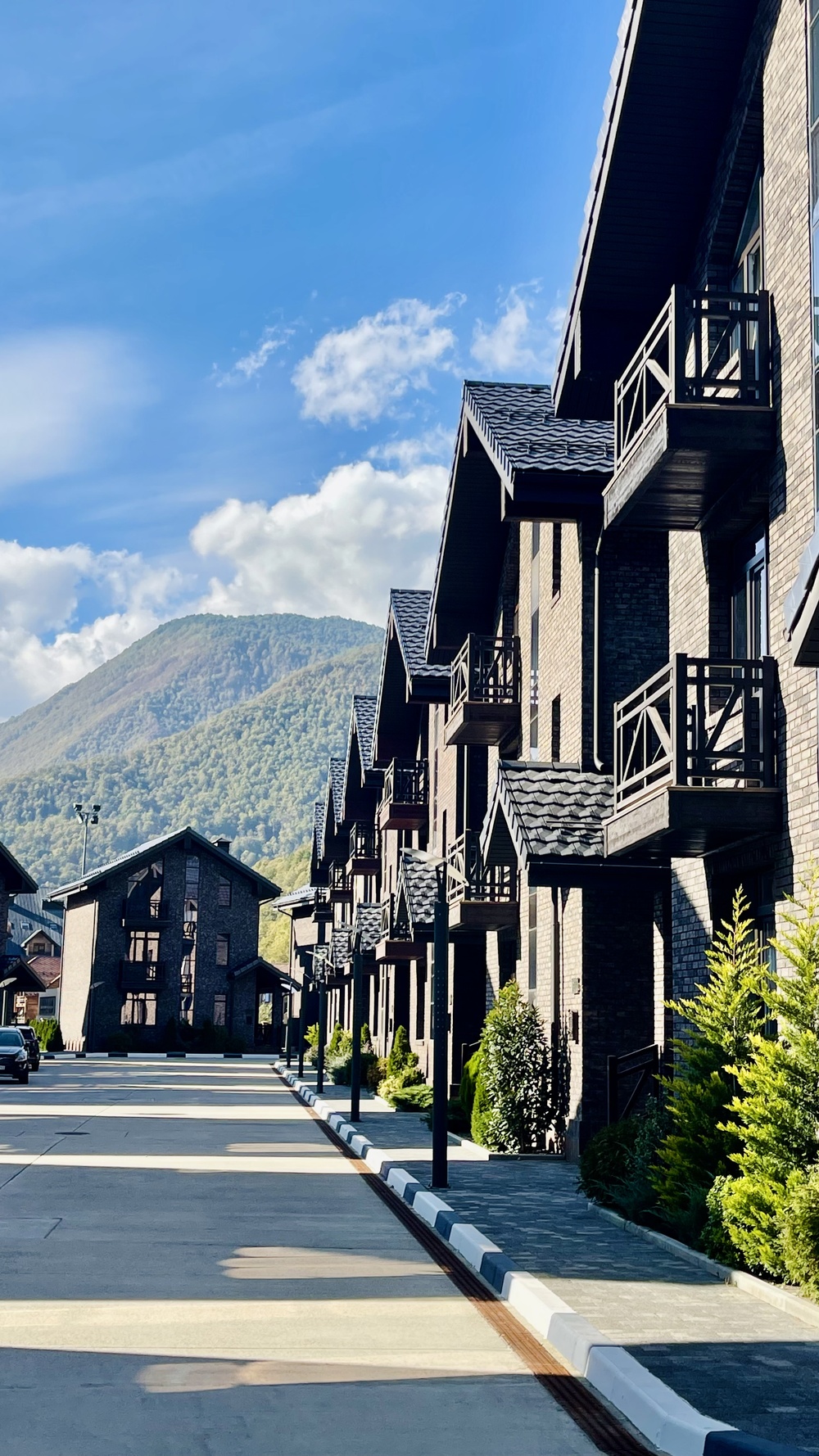 Коттеджный посёлок Polyana Gorky Village, вид с высоты